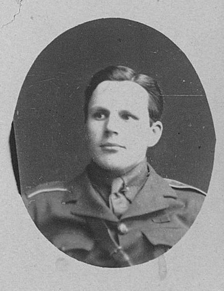 Файл:Дмитриев-Юргенс Василий Александрович.jpg