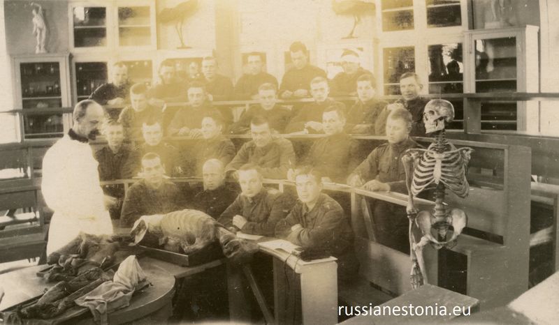 Файл:Курсы фельдшеров Эстонской Народной Армии.jpg