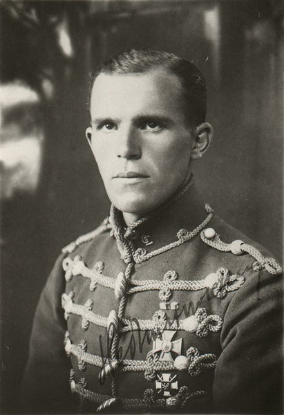 Файл:Ernst Gustav Heimert Nolcken.jpg